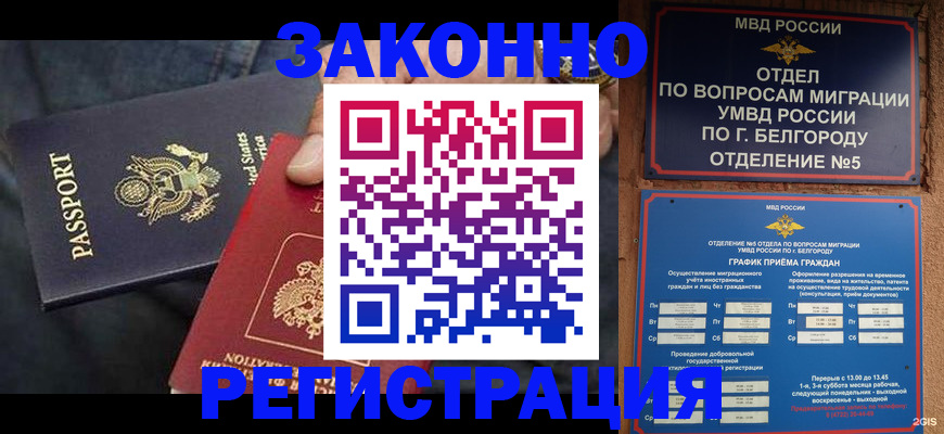 прописка законно в Палласовке